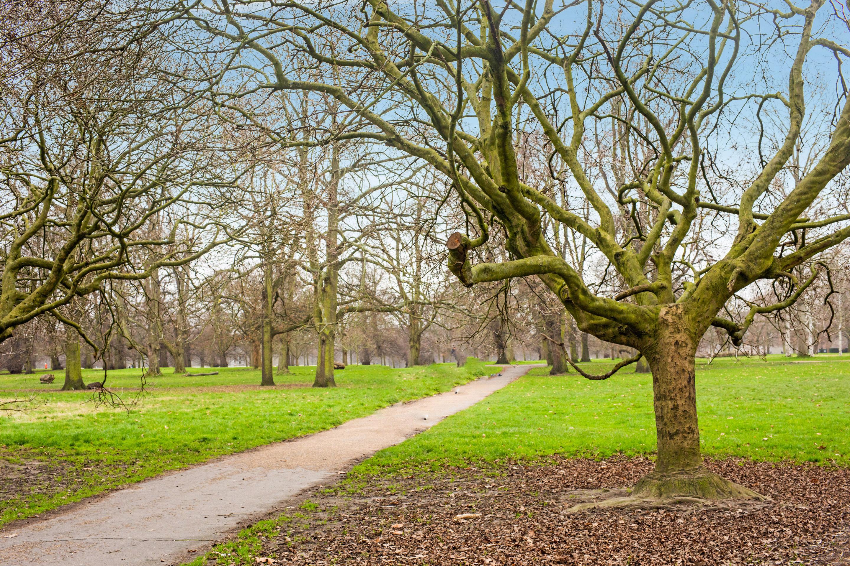 Townhouse Apollo, Hyde Park Hotel London Ngoại thất bức ảnh