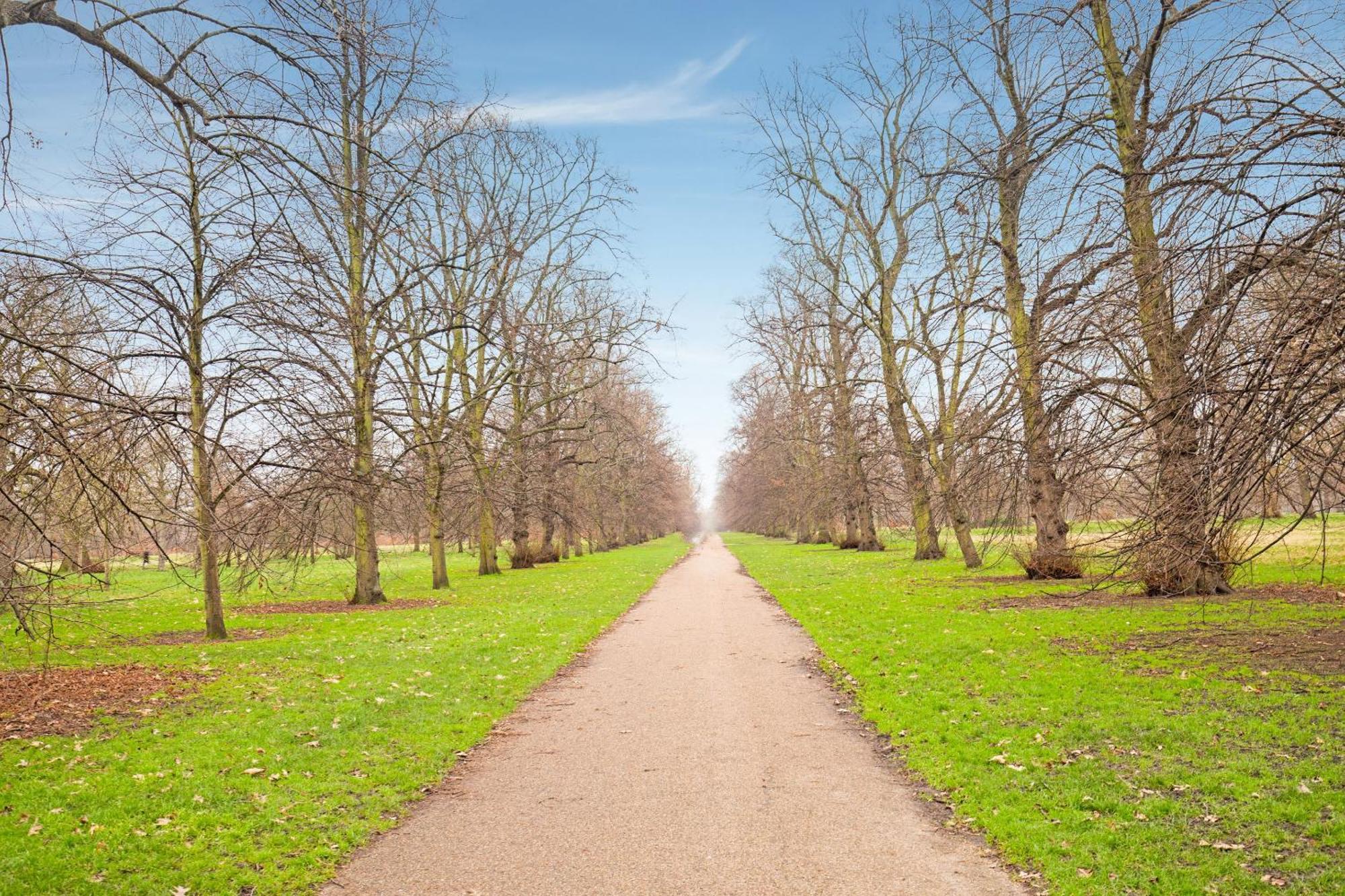 Townhouse Apollo, Hyde Park Hotel London Ngoại thất bức ảnh